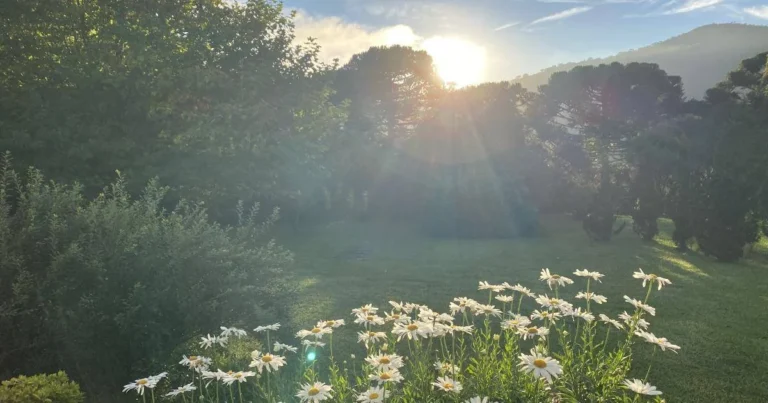 PousadaCantosEncantos-JardimExterna