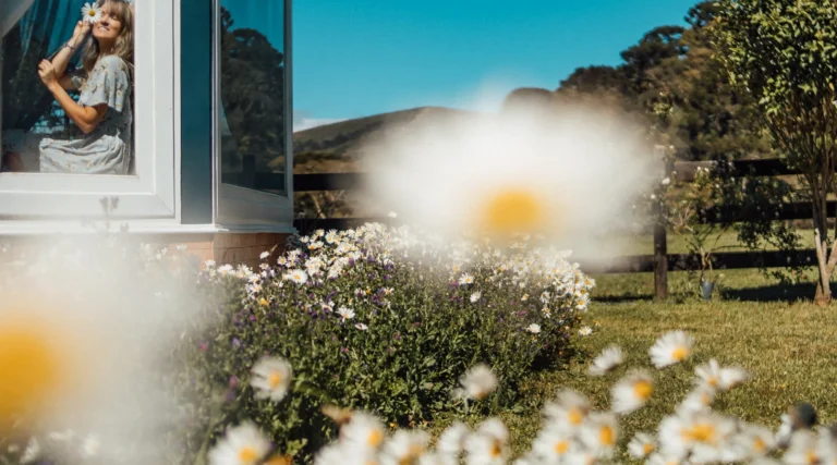 PousadaCantoseEncantos-LindoJardimDeMargaridasEmUrubiciSc