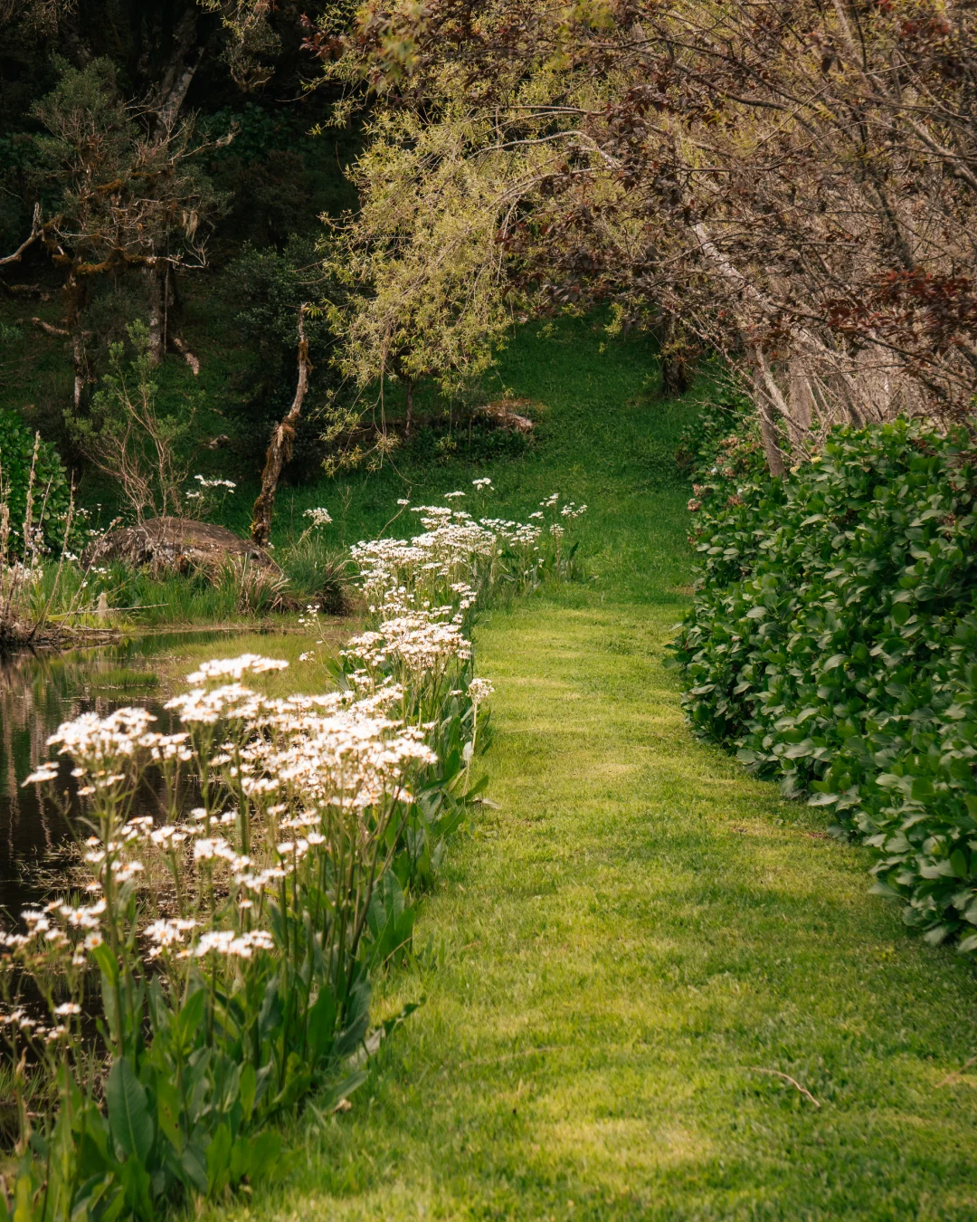 CantosEncantos-JardimNatureza