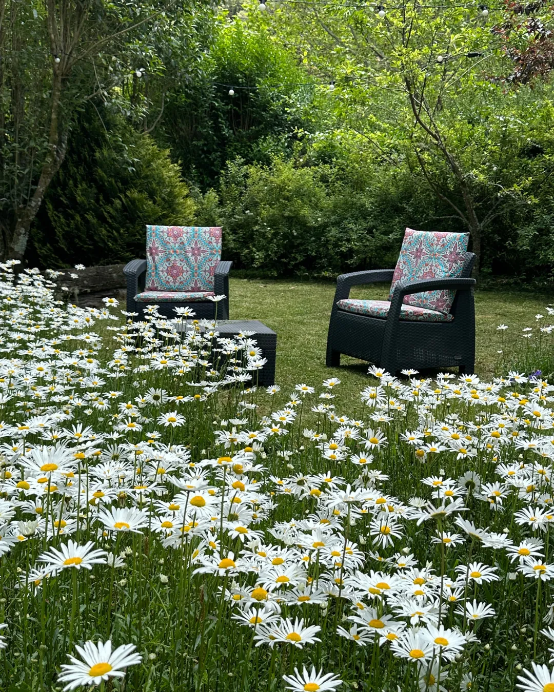 PousadaCantosEncantos-AmorPerfeito5