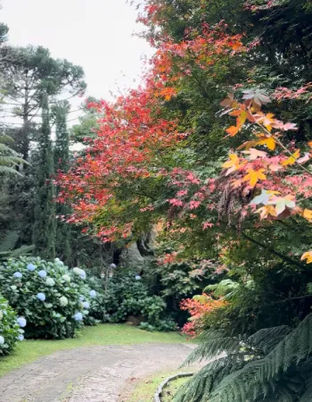 PousadaCantosEncantos-CarrosselHome1