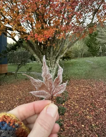 PousadaCantosEncantos-Jardim10
