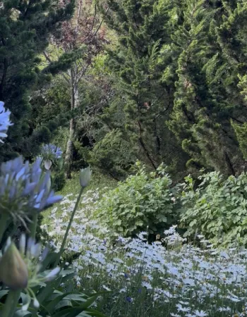 PousadaCantosEncantos-Jardim7